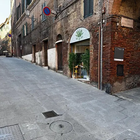 Il Pozzo *